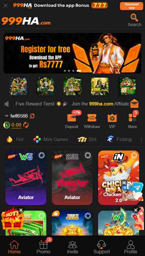 999HA Game