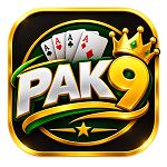 pak9 Game